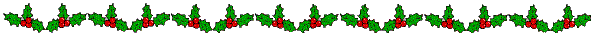 noel